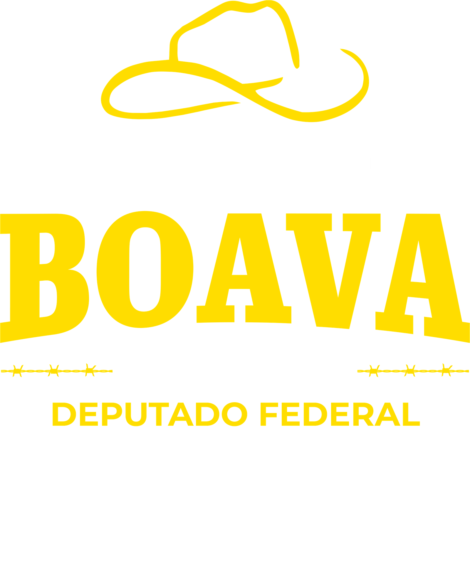 Thiago Boava — Deputado Federal 2026 — Partido Liberal (PL)
